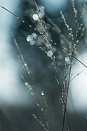 《三国志8 Remake》宣布参与BilibiliWorld 2024～